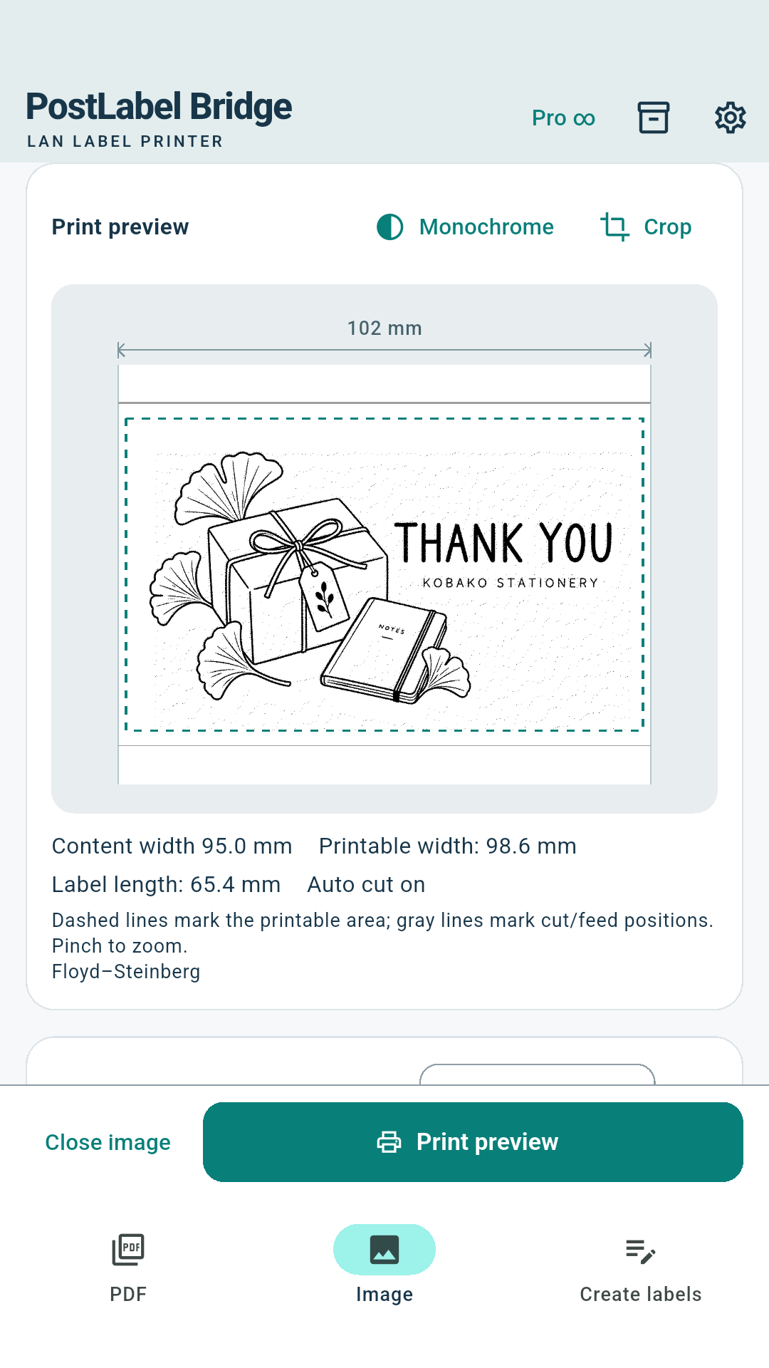 Image preview and monochrome conversion screen